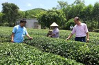 Vốn từ Ngân hàng Chính sách xã hội đẩy lùi nghèo khó ở Thanh Chương