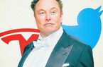 Nhiều xe điện giá rẻ xuất hiện, Tesla bị đe doạ thị phần
