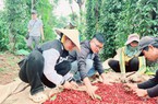Đắk Lắk tập huấn, bồi dưỡng, nâng cao năng lực cán bộ thực hiện Chương trình xây dựng nông thôn mới