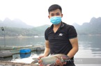 Cá lồng đặc sản nuôi dưới hồ thủy điện Hòa Bình, tung thức ăn xuống quẫy nước ầm ầm