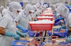 400 doanh nghiệp Việt Nam tăng tốc bán một loài cá sang Trung Quốc, thu gần 700 triệu USD