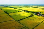 Năm 2022, hạn mức giao đất nông nghiệp tại nông thôn được quy định như thế nào? 
