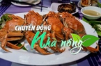 Chuyển động Nhà nông 7/11: Cua lông Thượng Hải tiền triệu vẫn hút khách