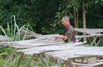 1.000 tỷ đồng chưa được hoàn thuế VAT, doanh nghiệp ngành gỗ kiến nghị khẩn Bộ NNPTNT, Bộ Tài chính