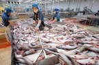 Xuất khẩu năm 2022 sẽ cán đích ngoạn mục