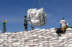 Ấn Độ dỡ bỏ lệnh cấm xuất khẩu gạo, điều gì sẽ xảy ra trên thị trường lúa gạo?