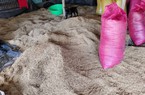 Vụ hàng nghìn tấn lúa ST24, ST25 tồn đọng: Thông tin mới nhất từ doanh nghiệp thu mua