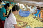 Việt Nam đang chiếm vị trí độc tôn cung cấp một loại hạt cho Trung Quốc, là hạt gì?
