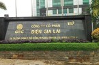 Điện Gia Lai (GEG) giải thể 1 công ty con, tạm dừng chào bán hơn 30 triệu cổ phiếu