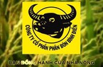 Phân bón Bình Điền (BFC) sắp tạm ứng cổ tức đợt 1 năm 2022 bằng tiền