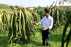 Agribank đẩy mạnh mô hình tổ vay vốn, giúp nông dân phát triển kinh tế, diện mạo nông thôn ngày càng khởi sắc