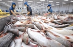 Triển vọng tiêu thụ cá tra Việt Nam tại Mỹ năm 2023