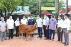Hội Nông dân huyện Quế Võ giữ vững danh hiệu đơn vị dẫn đầu phong trào thi đua toàn tỉnh Bắc Ninh