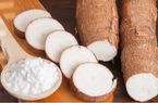 Trung Quốc tăng mua đến 93,1% tổng lượng sắn và các sản phẩm từ sắn của Việt Nam