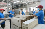 Mỹ, Trung Quốc tăng thu mua nông sản của Việt Nam, ấn tượng với xuất khẩu gỗ và thủy sản 