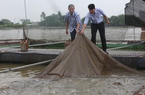 Bắc Ninh: Nuôi cá lồng trên sông tăng, đem lại hiệu quả kinh tế cao 