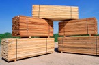 Hai "bộ lọc" giúp doanh nghiệp gỗ nhập nguyên liệu sạch, "miễn nhiễm" điều tra xuất xứ