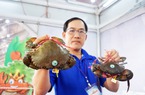 Tại lễ khai mạc Ngày hội cua Cà Mau, Phó Chủ tịch UBND tỉnh nói, sản lượng cua Cà Mau lớn nhất nước