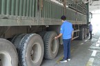 Hơn 21.000 ô tô hết niên hạn sử dụng từ ngày 1/1/2023