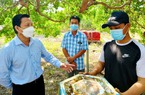 Đây là tỉnh có bình quân Quỹ Hỗ trợ nông dân một xã đạt 2,5 tỷ đồng, dẫn đầu cả nước