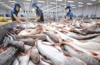 Phòng vệ Thương mại: Thách thức "vựa tỷ đô" của cá tra, ba sa Việt Nam