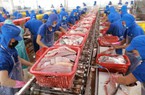 Thị trường Trung Quốc thu hút tới 160 doanh nghiệp Việt Nam tham gia bán một loài cá