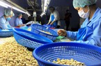 Việt Nam đang là nguồn cung không thể thay thế một loại hạt rất ngon, giàu dưỡng chất cho Mỹ