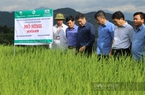“Làn gió mới” thúc đẩy tái cơ cấu nông nghiệp: Xây dựng người làm khuyến nông chuyên nghiệp