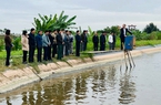 Nuôi tôm thẻ trong ao bán nổi ở Thái Bình, cứ 1ha nông dân lãi 350 triệu/vụ