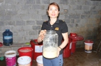 Chị nông dân Thái Nguyên làm ra chế phẩm sinh học cho cây chè, sâu bệnh không thấy, chất lượng hơn hẳn