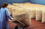 Độc đáo quy trình sản xuất nút chai ở Bồ Đào Nha