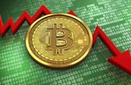 Giá Bitcoin hôm nay 06/12: Đồng loạt đi xuống, dự báo gây sốc về giá Bitcoin