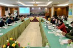 Hơn 12.000 nông dân trồng rừng được hưởng lợi từ Chương trình FFF II