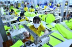 Doanh nghiệp lộc phát với đơn hàng ngay sau tết Nguyên đán