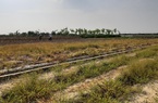 Hiểm họa thuốc độc bên mâm cơm người Việt: Cần xử lý tận gốc, xử lý triệt để các đầu nậu 