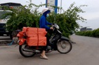 Thuốc độc bên mâm cơm người Việt: Mánh kinh doanh của những "ông, bà trùm" thuốc độc