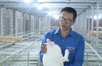 Nuôi thỏ tuần hoàn bằng những thứ cỏ lạ này, anh nông dân Hải Phòng giàu hẳn lên
