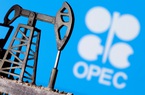 Đến OPEC cũng nghĩ giá dầu đang quá cao