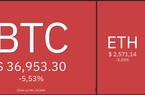 Giá Bitcoin hôm nay 22/2: Bitcoin lao dốc, đêm khó ngủ của các nhà đầu tư
