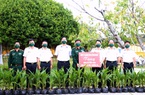 Khánh Hòa: Gửi tặng trên 2 ngàn cây dừa giống cho huyện đảo Trường Sa