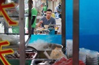 Phố sủi cảo 