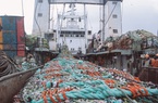 Các nhà nhập khẩu thủy sản của Nga ở châu Âu chịu thiệt hại do lệnh trừng phạt, cơ hội nào cho Việt Nam?