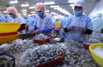 Tôm vẫn là thủy sản xuất khẩu chính  