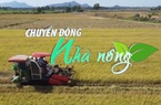 Chuyển động Nhà nông 1/3: Nhu cầu gạo Việt Nam được dự đoán sẽ tăng trong tháng tới