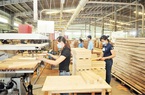 Úc trở thành thị trường cung cấp gỗ nguyên liệu hợp pháp nhất cho Việt Nam