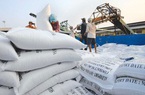 Giá gạo xuất khẩu của Việt Nam tiếp tục tăng lên, giá lúa gạo trong nước ra sao?