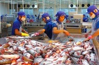 Xuất khẩu cá tra sang EU tăng trưởng mạnh nhất sau 2 năm