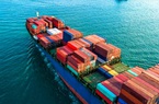 Tạm giữ lại 16 lô hàng nhân hạt điều, Việt Nam làm rung động ngân hàng, cơ quan chức năng Italia