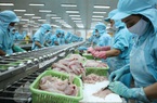 Việt Nam đang cung cấp độc quyền một loài cá cho Trung Quốc, là cá gì mà mới đầu năm Trung Quốc đã mua mạnh?