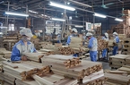 Ứng phó tác động xấu từ nền kinh tế toàn cầu